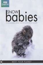 Watch Snow Babies Alluc