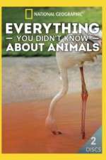 Watch Everything You Didnt Know About Animals Alluc