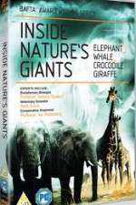 Watch Inside Nature's Giants Alluc