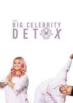 Watch The Big Celebrity Detox Alluc