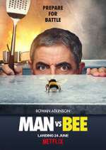 Watch Man Vs Bee Alluc