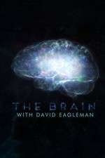 Watch The Brain with Dr David Eagleman Alluc