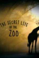 Watch The Secret Life of the Zoo Alluc