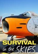 survival in the skies tv poster