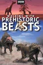 Watch Walking with Beasts Alluc