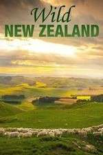 Watch Wild New Zealand Alluc